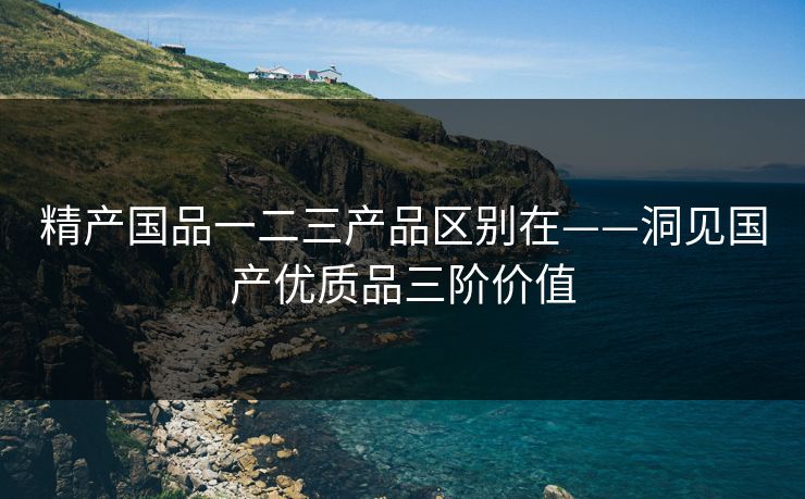 精产国品一二三产品区别在——洞见国产优质品三阶价值