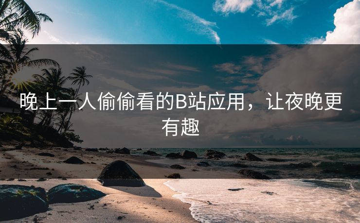 晚上一人偷偷看的B站应用,让夜晚更有趣 晚上一人偷偷看的B站应用,让夜晚更有趣