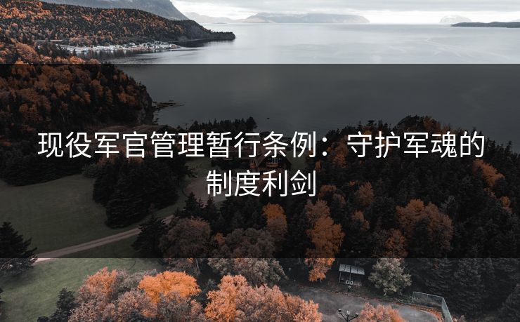 现役军官管理暂行条例：守护军魂的制度利剑
