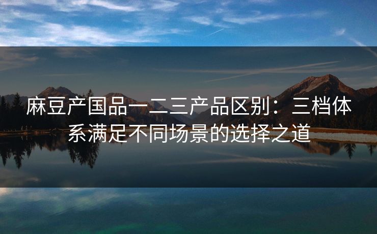 麻豆产国品一二三产品区别：三档体系满足不同场景的选择之道