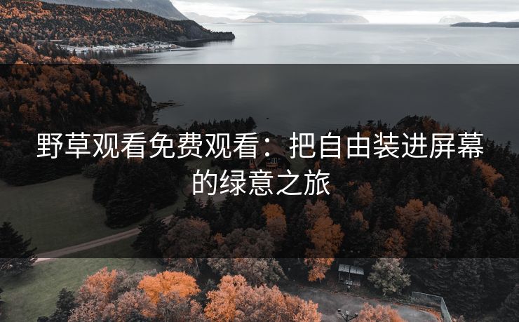 野草观看免费观看：把自由装进屏幕的绿意之旅